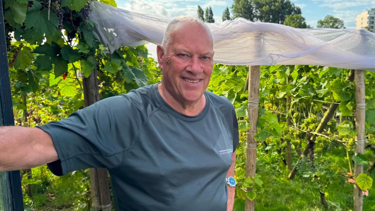 Goed wijnjaar op komst door droogte: 'Moet eigenlijk nog maandje zo blijven'
