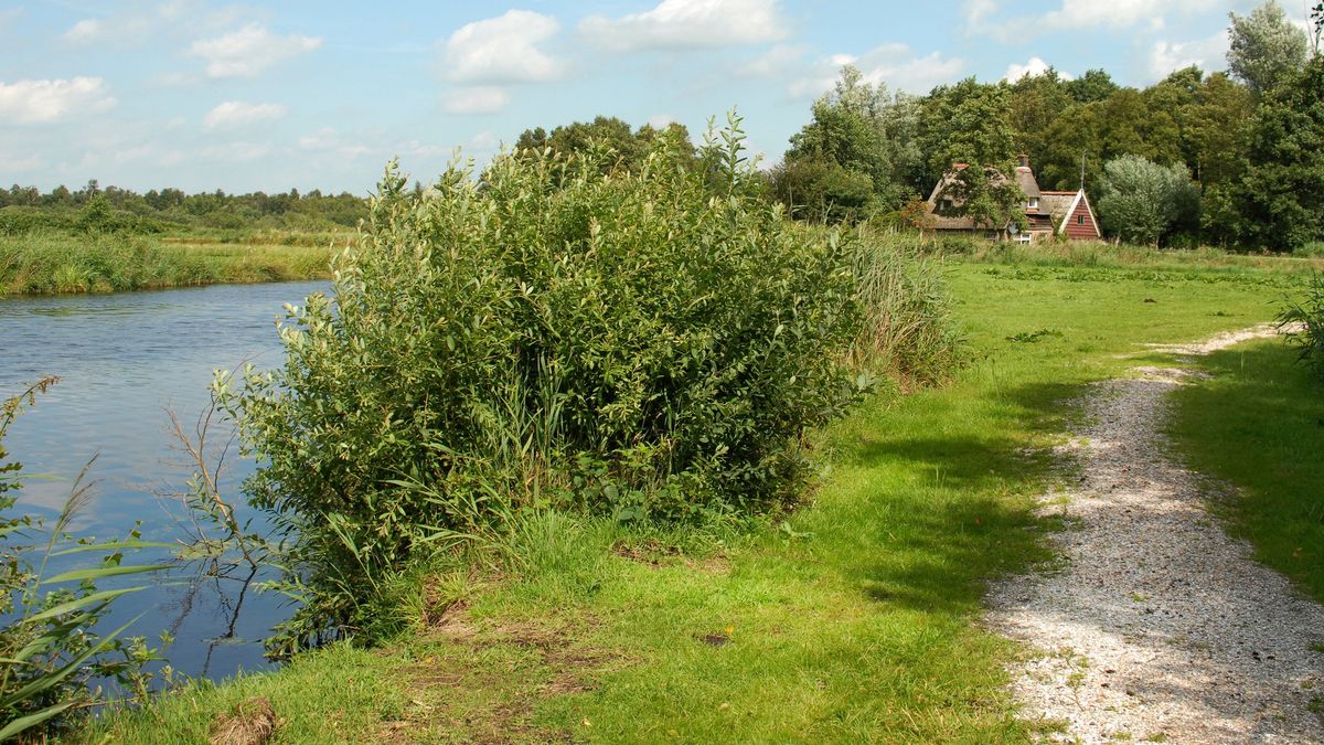 Pad door de Rottige Meente gesloten voor fietsers: omwonenden voeren actie
