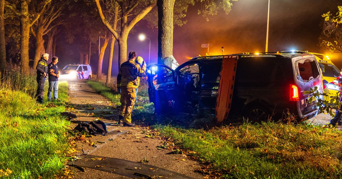Driver severely injured after van crashes into tree in Vinkega
