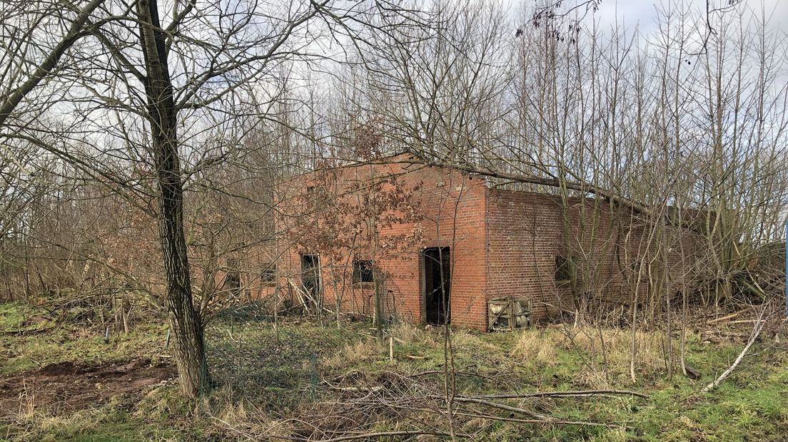 De ruïne van de voormalige steenfabriek