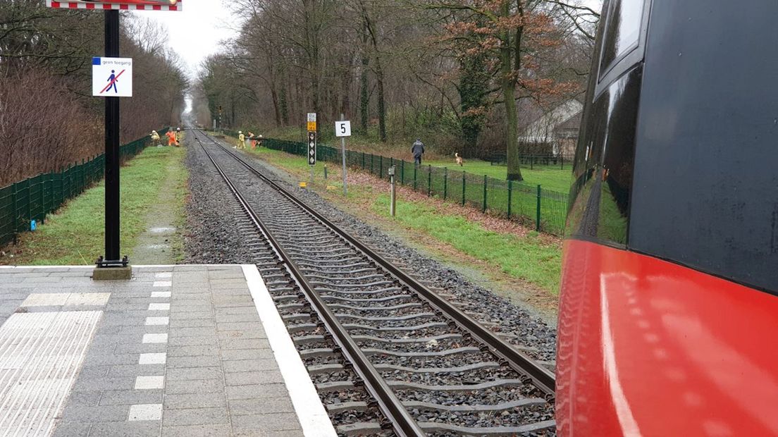 Treinverkeer tussen Enschede en Gronau ligt stil door omgevallen boom
