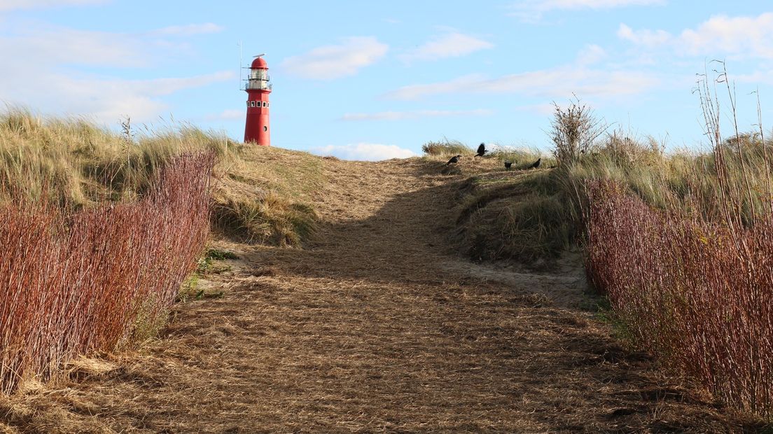 Vanwege de droogte is er een rook- en stookverbod op Schier