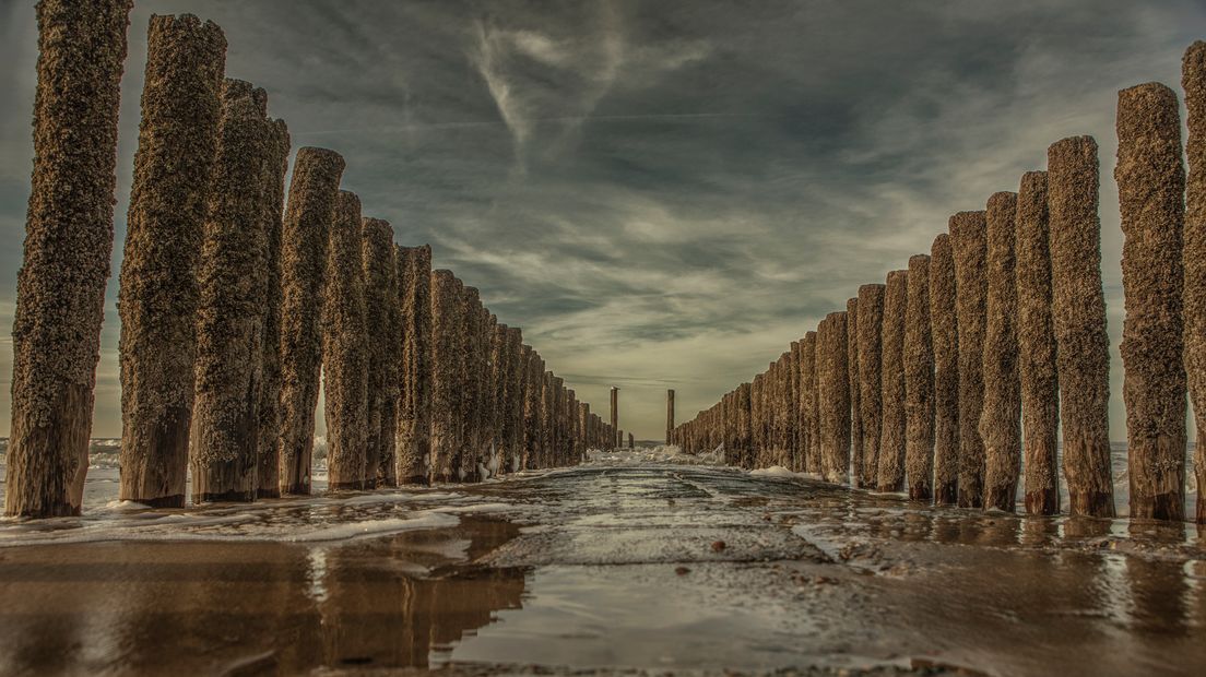 Het strand en de palen bij Domburg