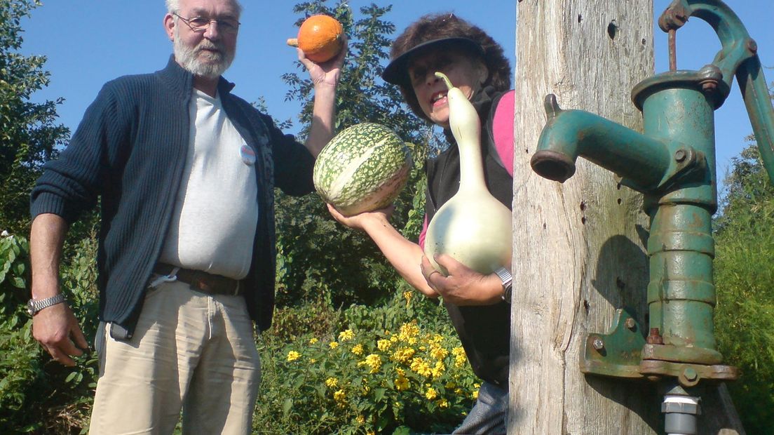 'Omvang volkstuinen handhaven'