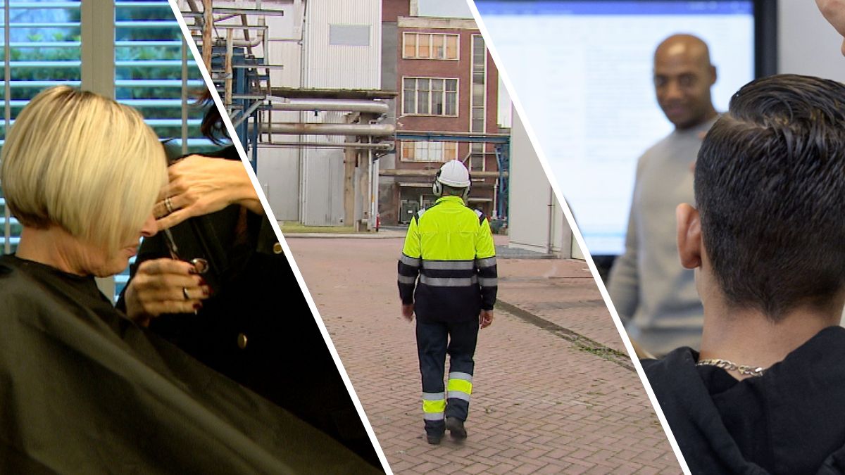 AI gaat Zeeuwse arbeidsmarkt veranderen: deze sectoren zullen geraakt worden