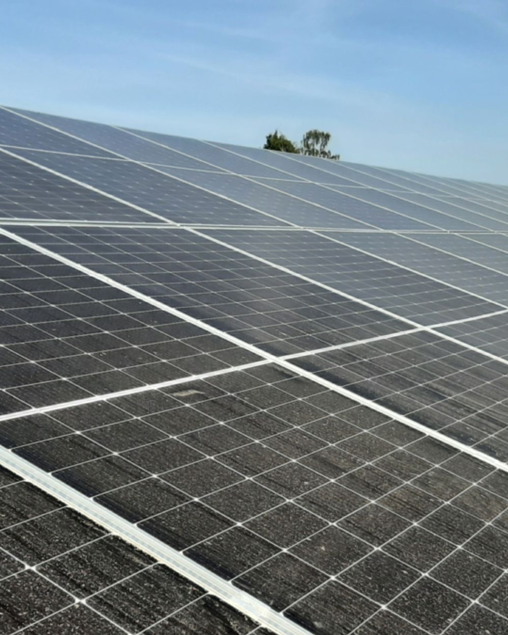 Teveel aan zonnestroom levert aandeelhouders Enschede Energie nog geen ...