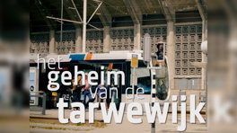 Geheim van de Tarwewijk - Aflevering 22005