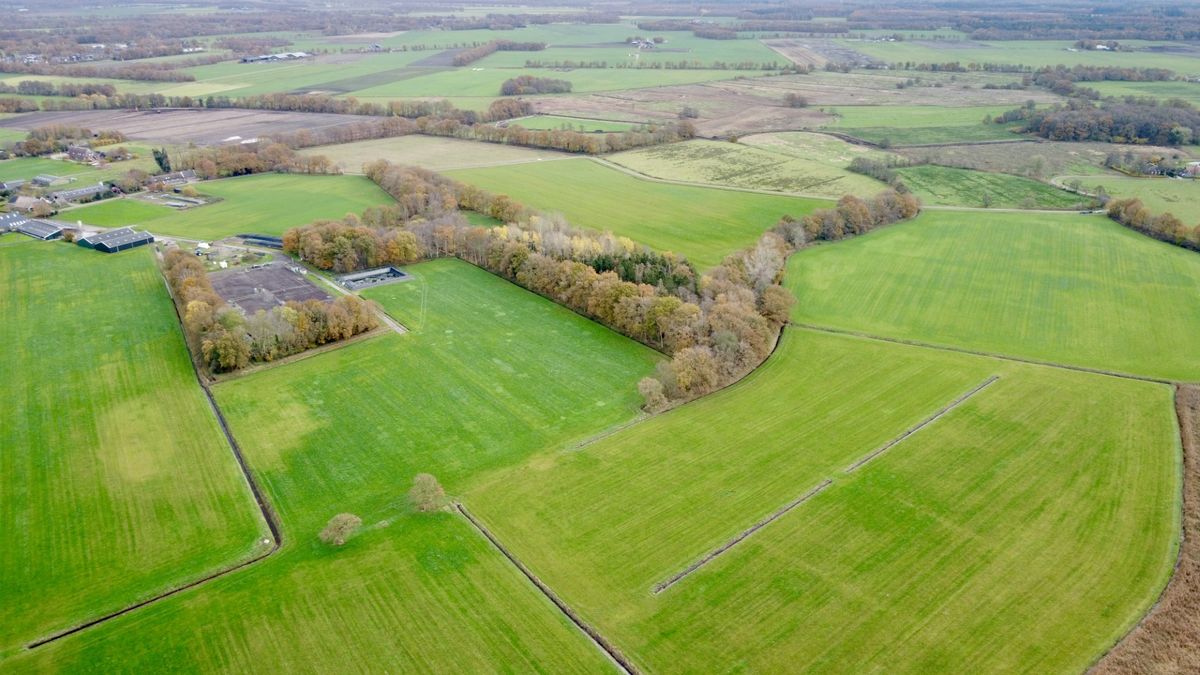 Natuurgebied Geelbroek wordt nu echt natter: winst voor de natuur maar niet voor boeren