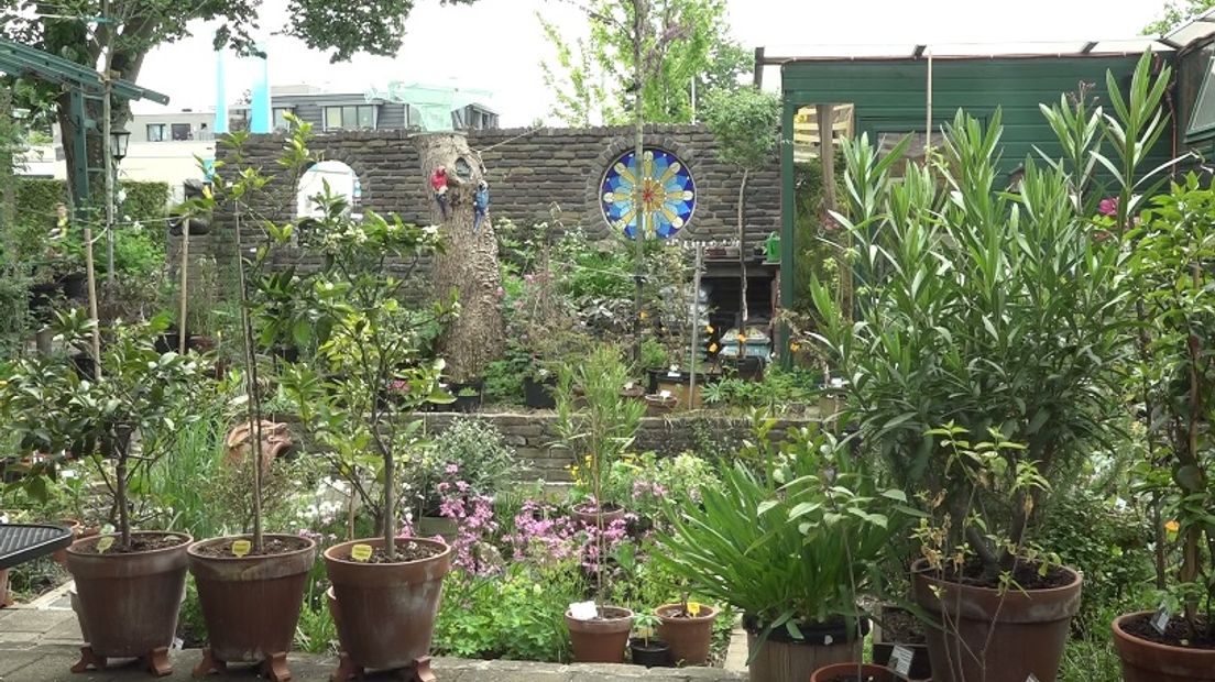 Verborgen achter een muurtje ligt midden in het centrum van Bennekom de idyllische tuin van Louke Hoefakker. Sinds een aantal maanden doet zij mee aan het landelijke initiatief deeltuinen en stelt zij haar tuin open voor mensen die geen tuin hebben: 'Als je wilt relaxen kun je hier heerlijk rustig zitten', laat Louke weten.