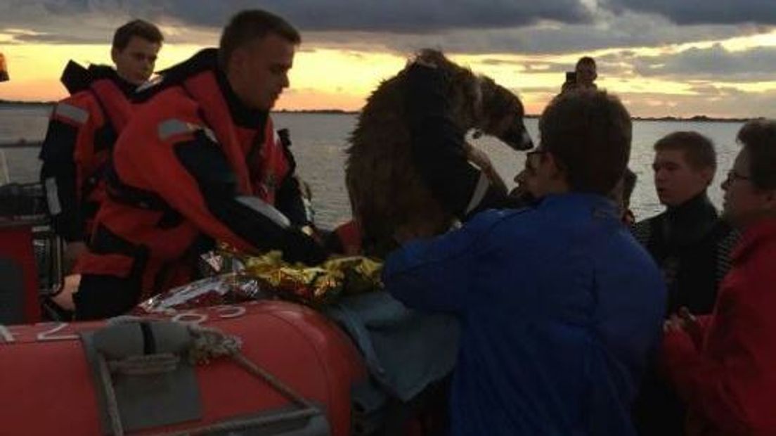 Hond uit Oosterschelde gevist