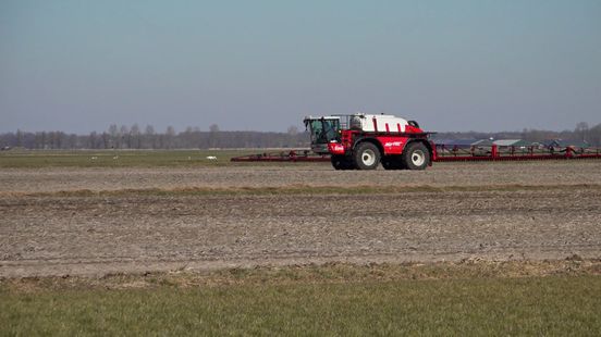 Geen extra maatregelen, te weinig steun: stichting stopt strijd tegen lelieteelt Home