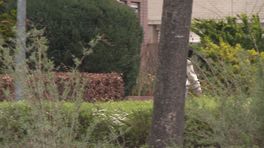 Advocaten gaan in de fout tijdens scheidingen