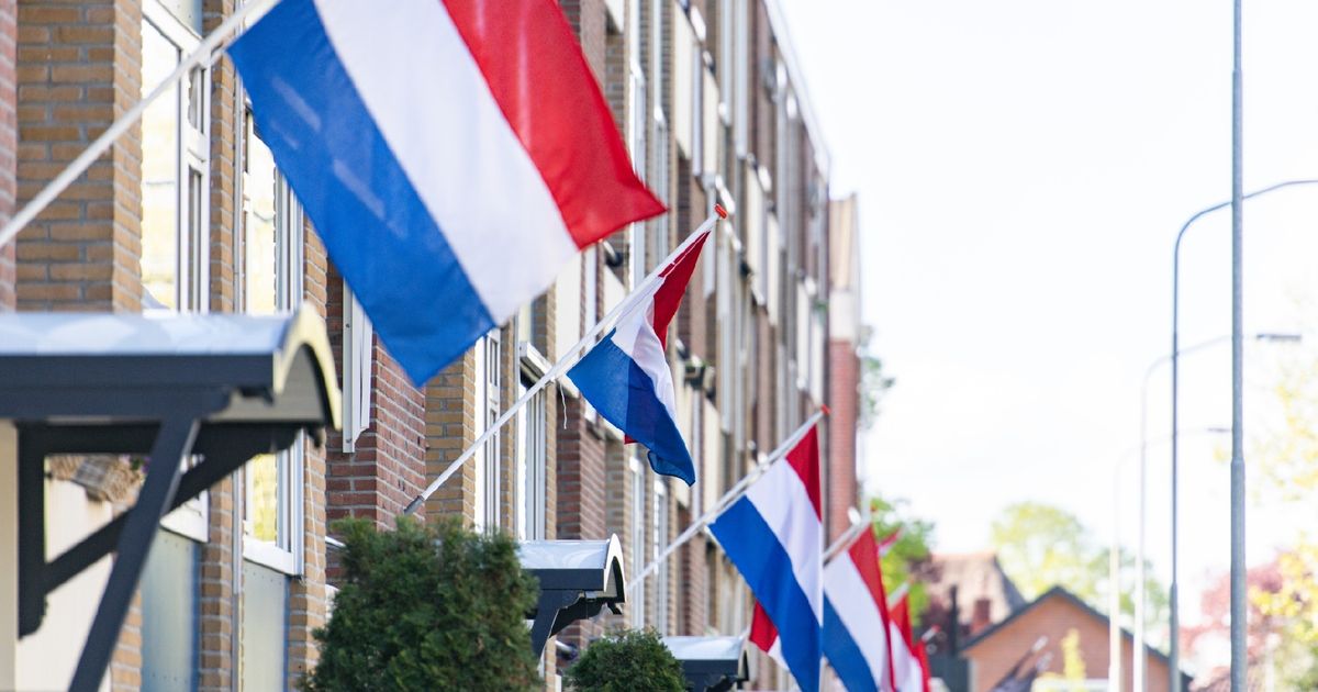 Dit is er op Bevrijdingsdag te doen in Groningen - RTV Noord