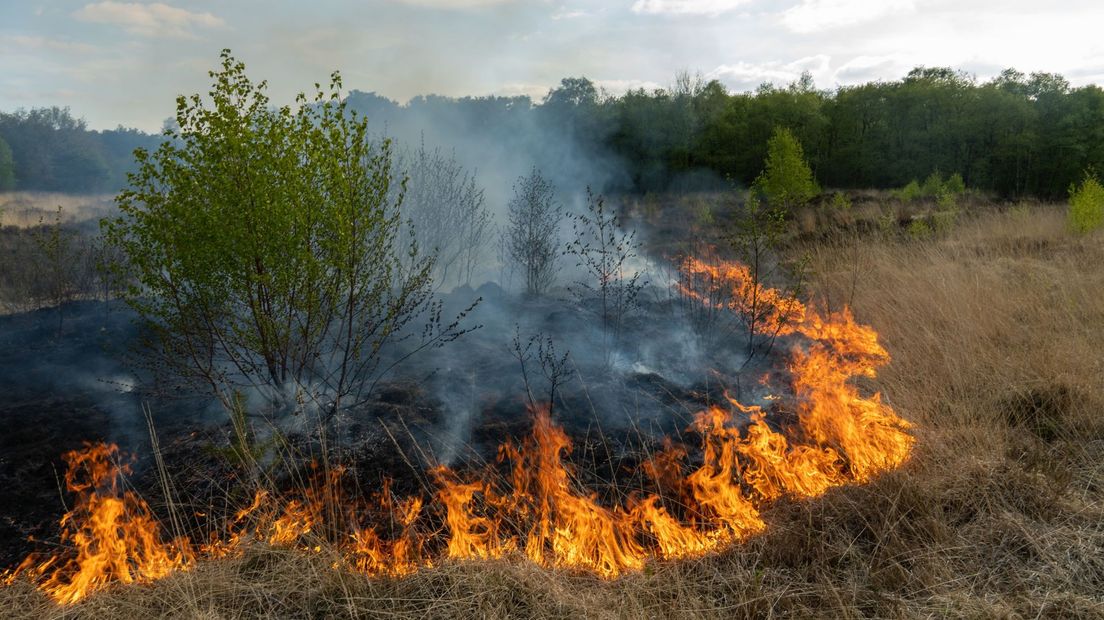 Brand heide in Assen