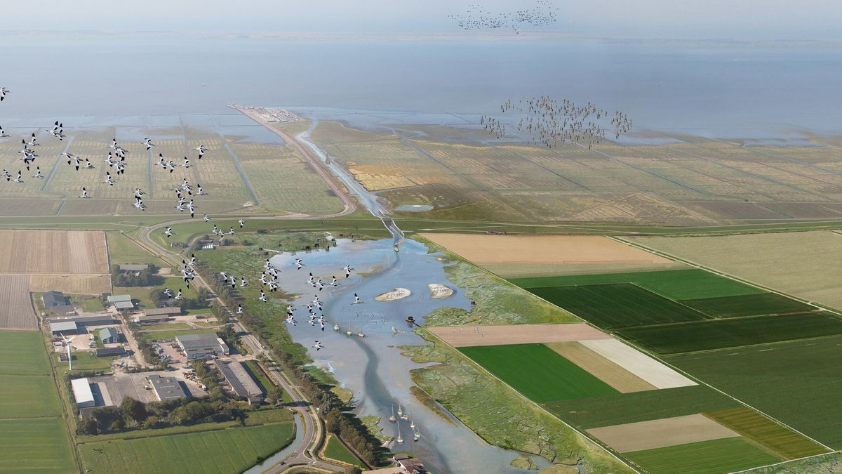 Holwerd aan Zee wil miljoenen euro's uit Regio Deal opeisen bij de Provincie Fryslân