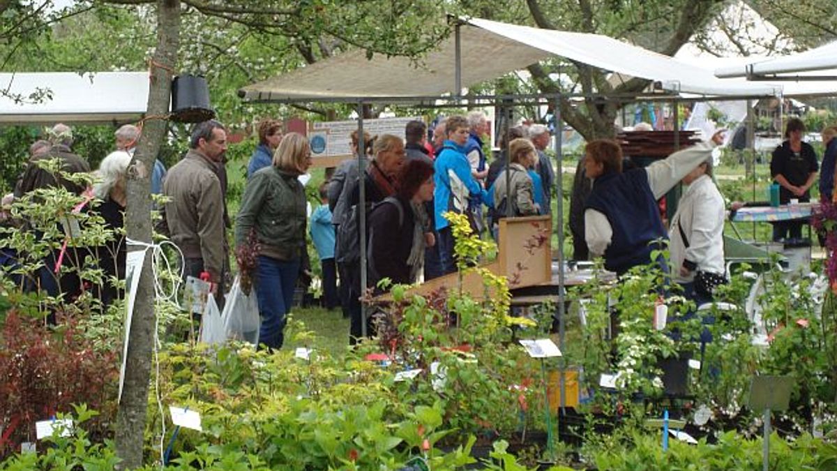 Drukke lentefair Frederiksoord