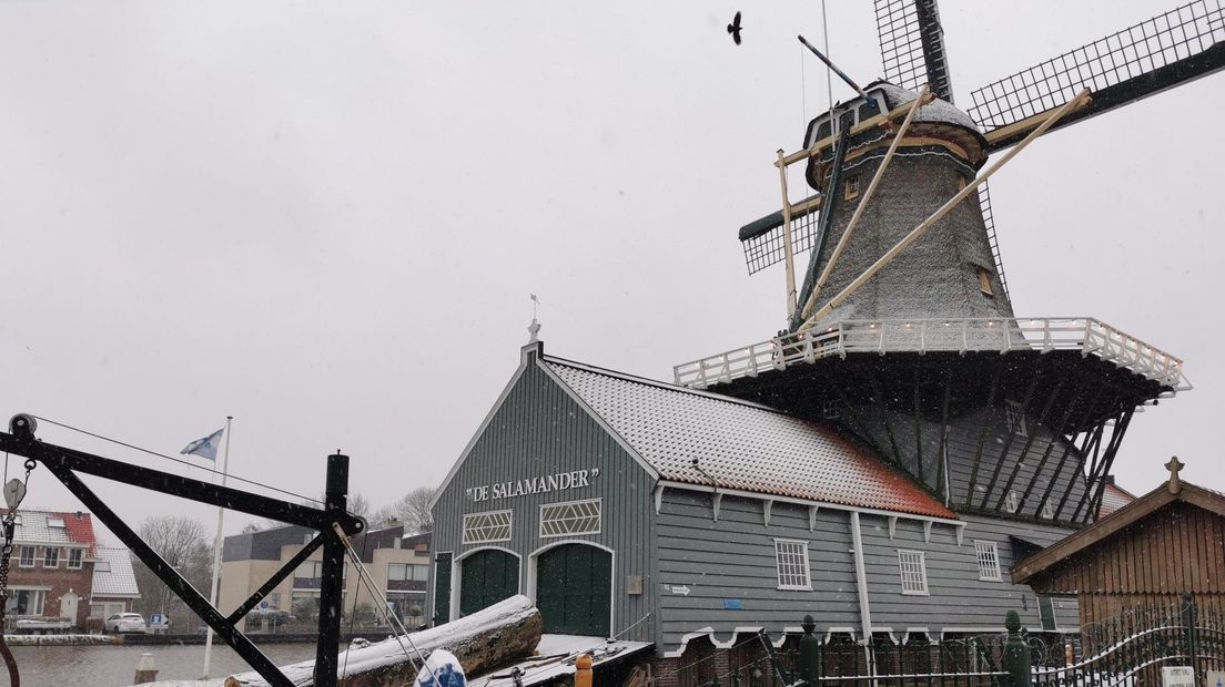 Molen de Salamander in Leidschendam