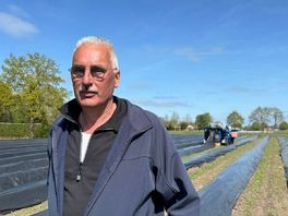 Unieke aspergesteekmachine redde het bedrijf van Eric: 'Rijden er twee van in de wereld'