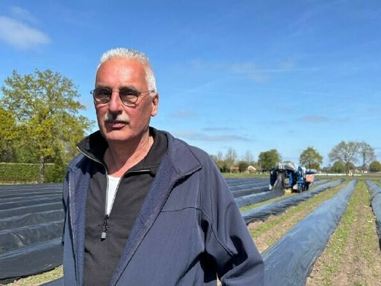 Unieke aspergesteekmachine redde het bedrijf van Eric: 'Rijden er twee van in de wereld'