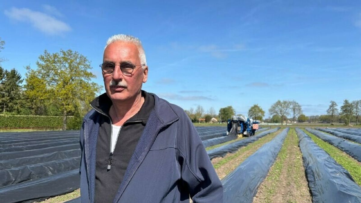 Unieke aspergesteekmachine redde het bedrijf van Erik: 'Rijden er twee van in de wereld'