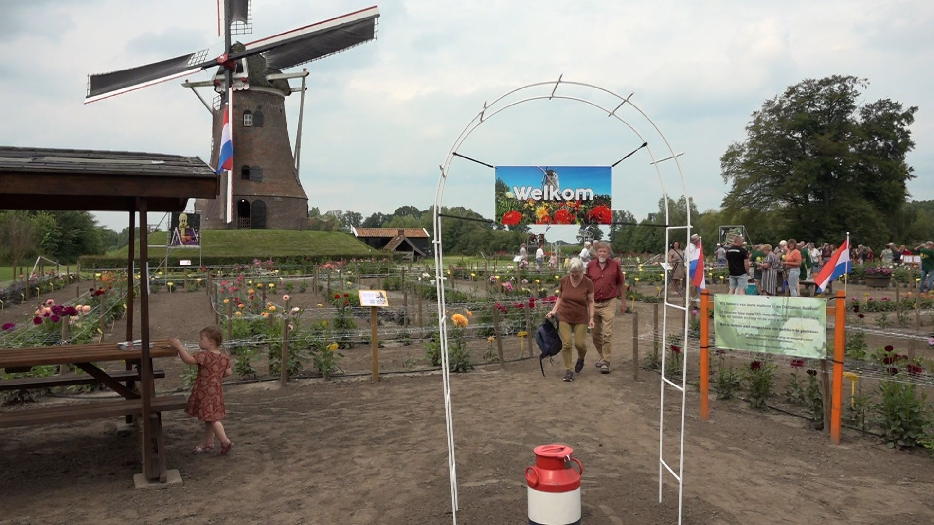 Dahliawalhalla op het Achterhoekse zand