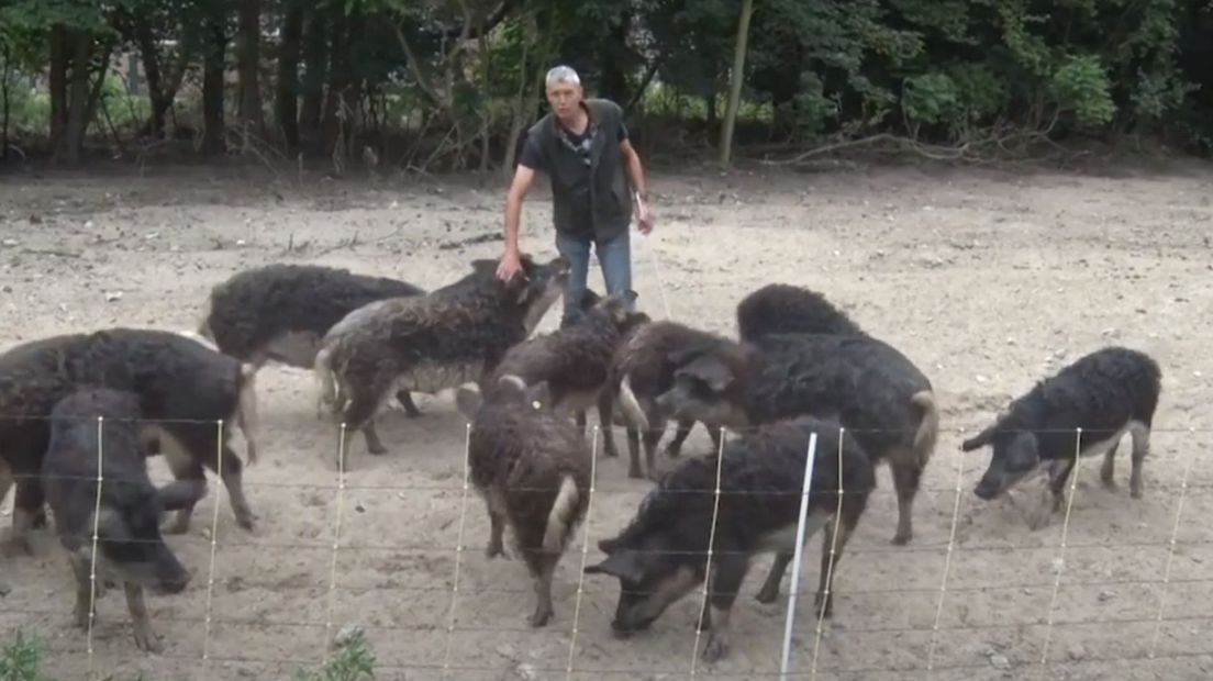 Pieter Dekker met zijn dieren