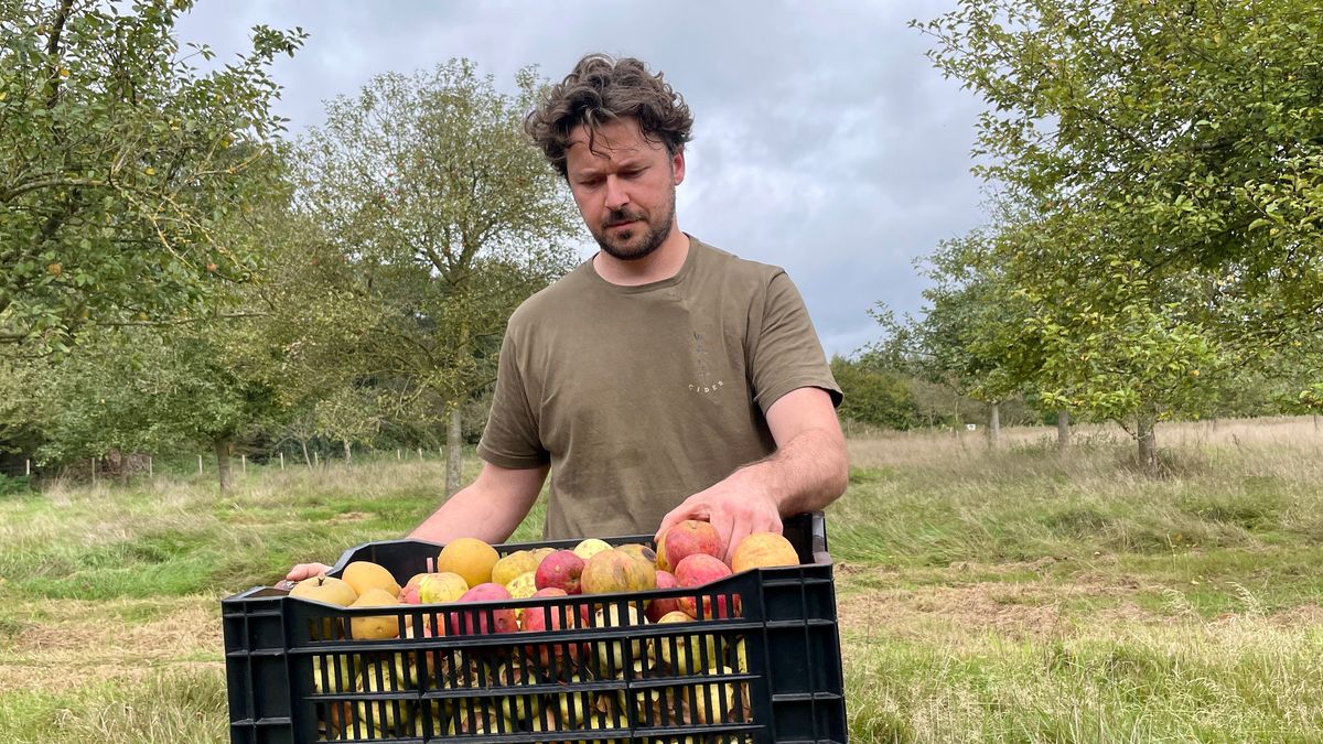 Slechtste appeljaar in tijden deert prijzenwinnend Waltcider uit Wapse niet