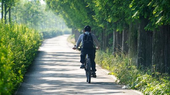 In deze plaatsen fietsen de meeste mensen naar hun werk