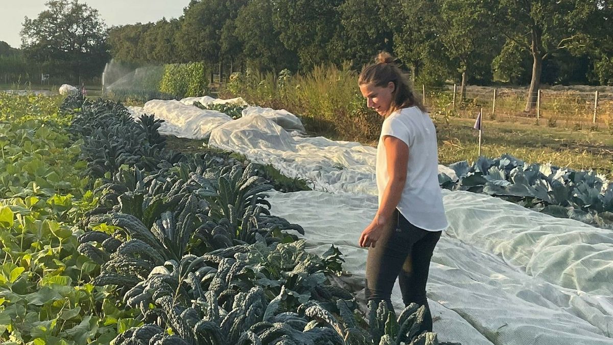 Pluktuin Nieuwehorne loopt als een tierelier, maar had eigenlijk niet nodig moeten zijn