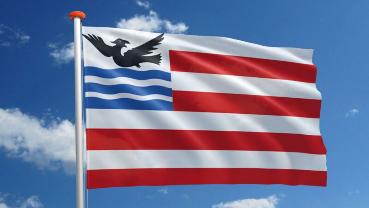 Een vogel siert de vlag van Smilde, maar staat ie nou op het punt te verzuipen?