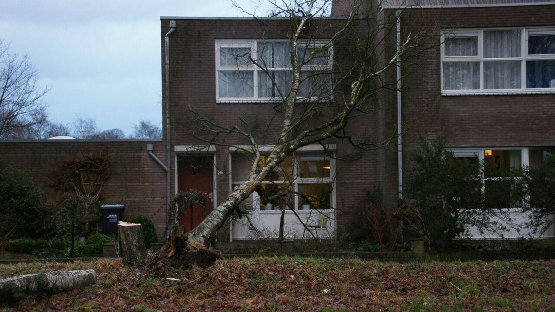 In Emmen viel een boom op een huis (Rechten: Van Oost Media)