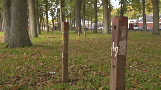 Zuidlaren maakt zich op voor 824e jaarmarkt
