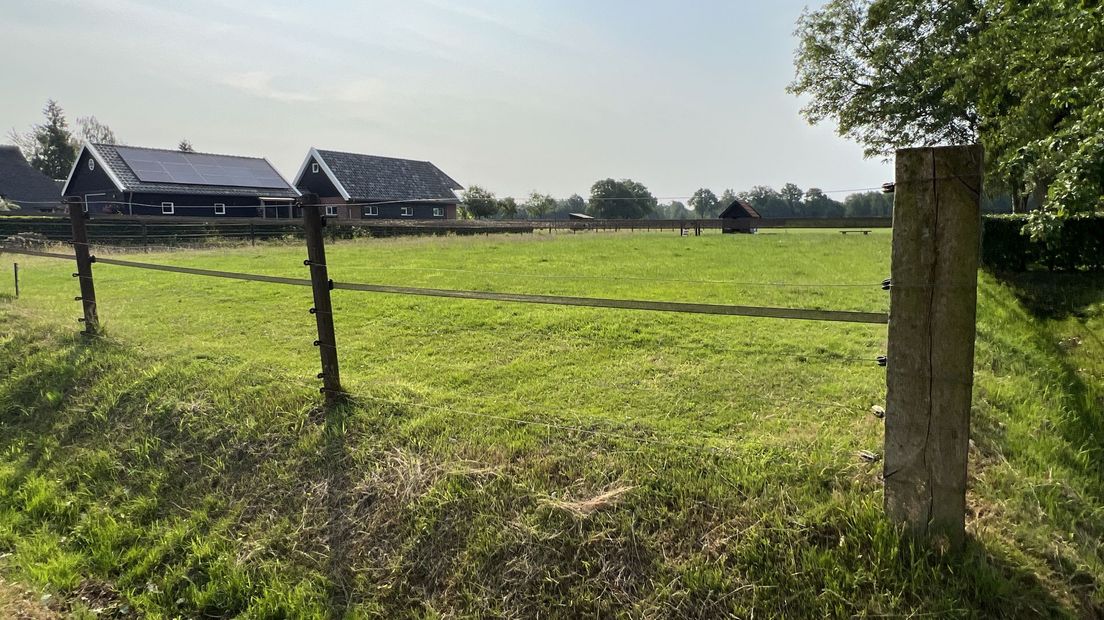 wolf doodgeschoten wapse