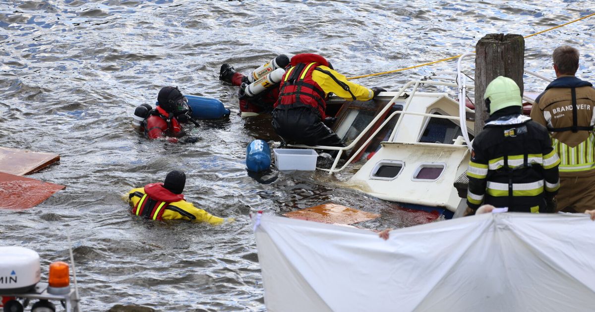 Cargo Ship Collision Motorboat Yacht Damage