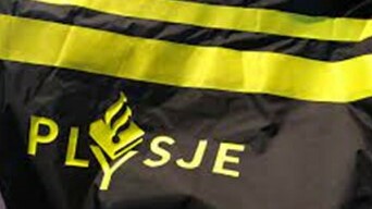 De Fryske Beweging liet alris heskes meitsje mei it wurd 'plysje'