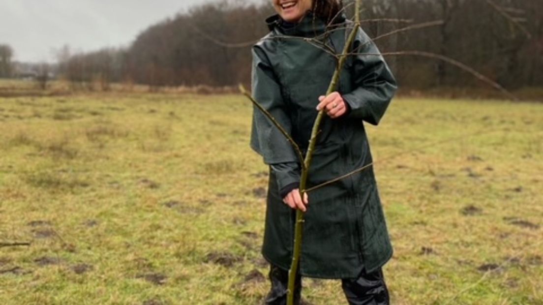 Birthe Leemijer plant de eerste wilgenteen