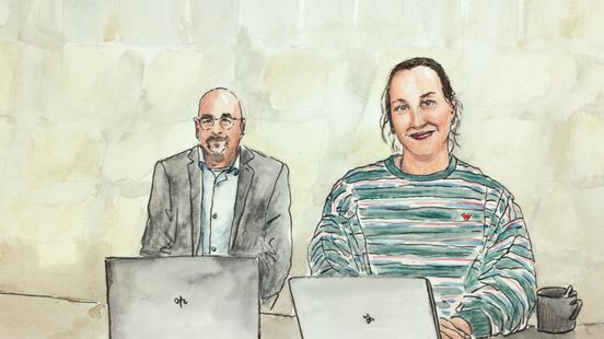 Bij de politierechter: Stella sloeg haar vriend en een agent en krijgt daarom een taakstraf