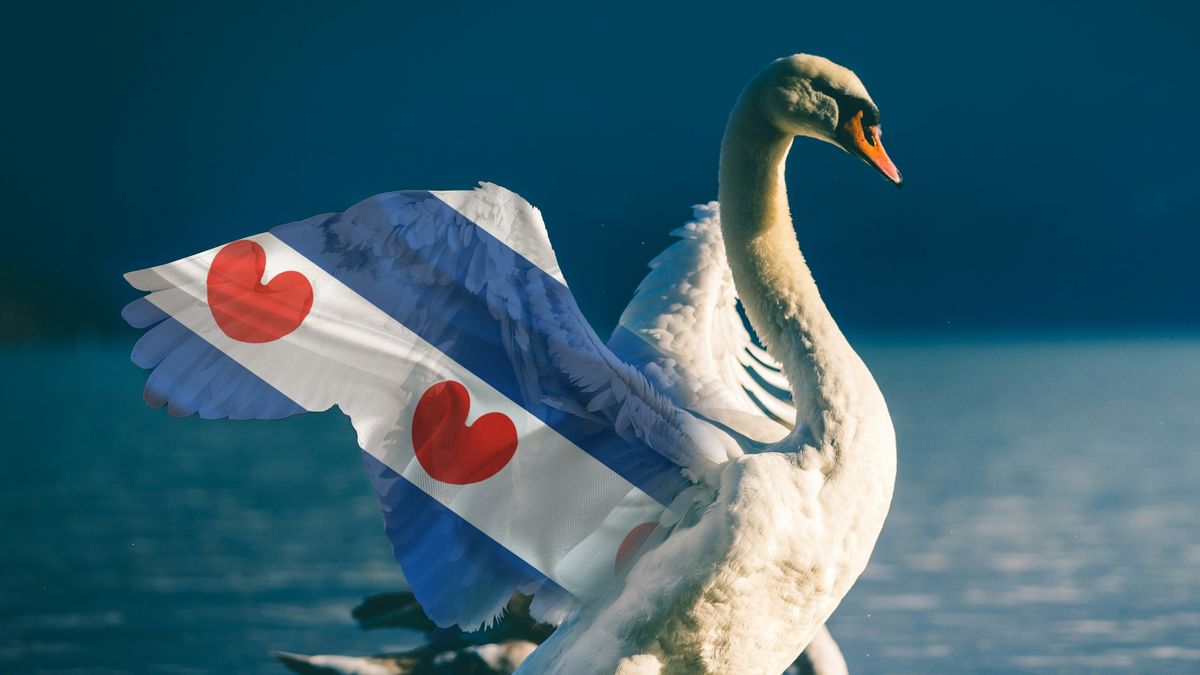 Hoe zelfs de koninklijke adel de zwaan niet uit Friesland kon halen