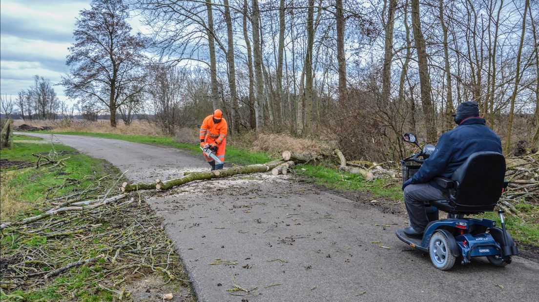 Op de Veldweg in Wanneperveen waaide een boom op de weg