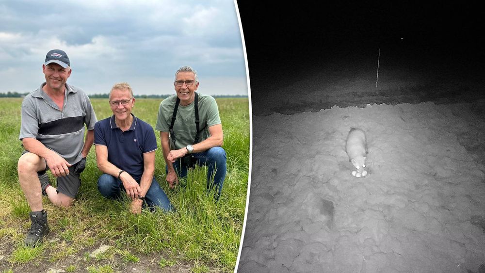 Dood En Verderf Zaaien