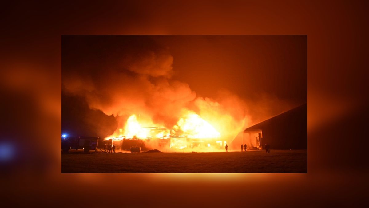 2,3 miljoen kilo aardappelen en 200 ton uien in vlammen op bij brand Munnekezijl