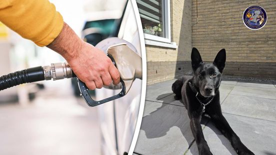Politiehond Kees grijpt benzinedief bij de kladden