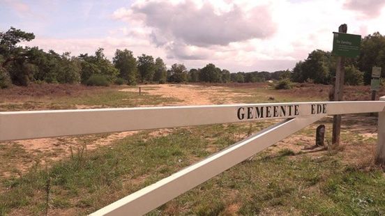 Trajectcontroles en verbod op nieuwe veehouderijen: dit wil Gelderland met stikstofzones