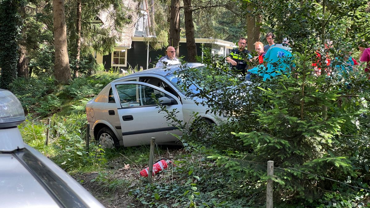 Assenaar (80) komt om bij eenzijdig auto-ongeluk in Zeegse