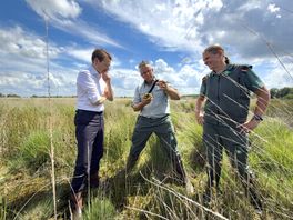 Bargerveen krijgt impuls van twaalf miljoen euro voor natuurherstel van het Rijk: 'daad bij woord voegen'