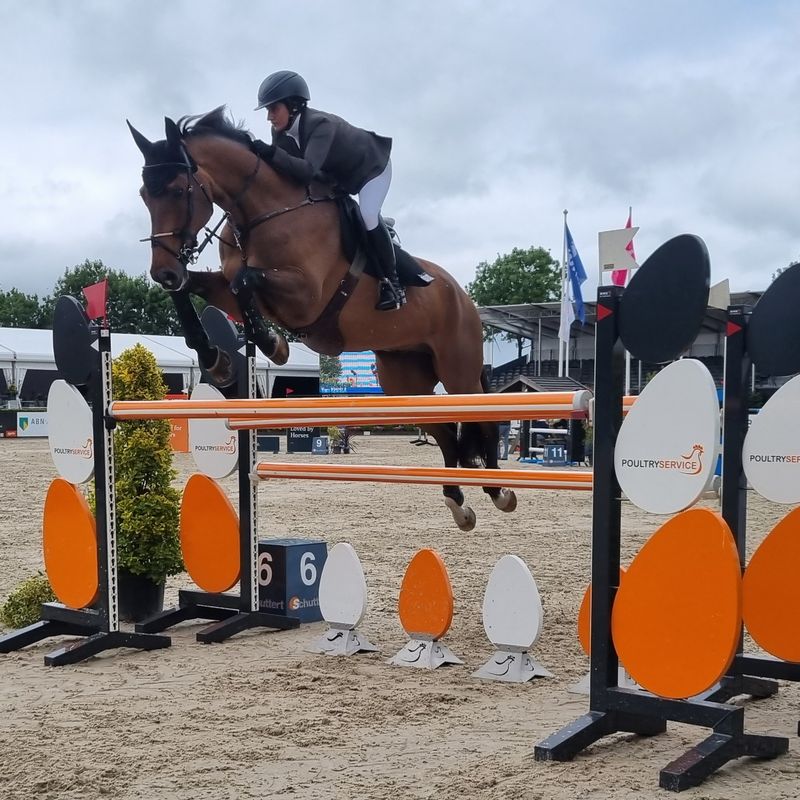 CSI Ommen zie je live bij RTV Oost - Oost