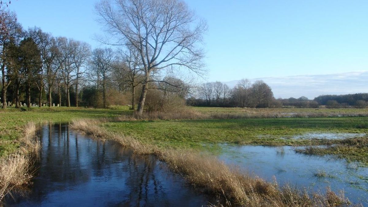 Inwoners IJhorst willen uitkijktoren in het Reestdal