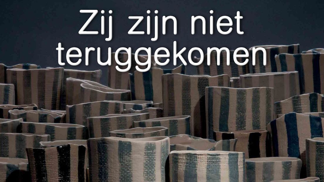 Cover 'Zij zijn niet teruggekomen. Stolpersteine in Beilen, Smilde en Westerbork'