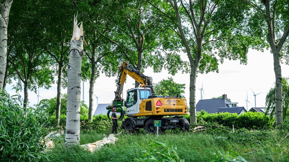 Stormschade in Groningen: N362 deels afgesloten • Chaos op terrein Fraeylemaborg