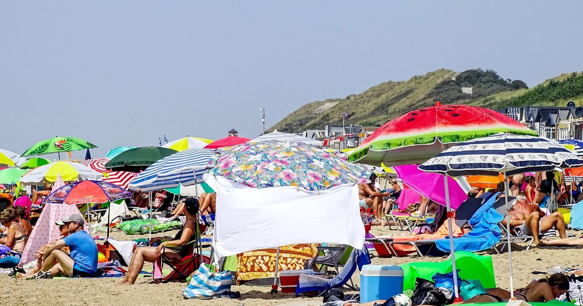 www.omroepzeeland.nl